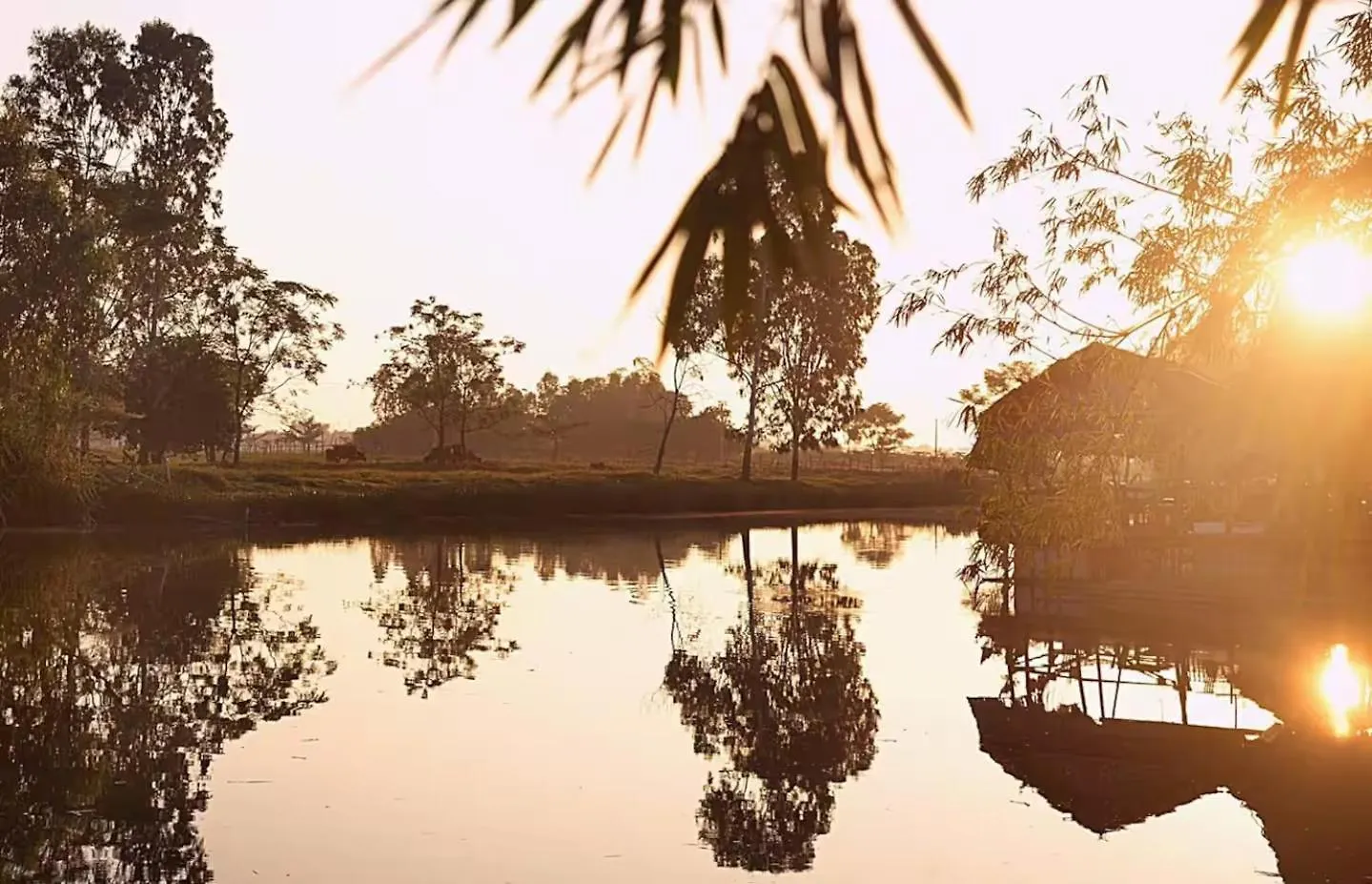 Yen Homestay Hoi An Alojamento de Turismo Selvagem