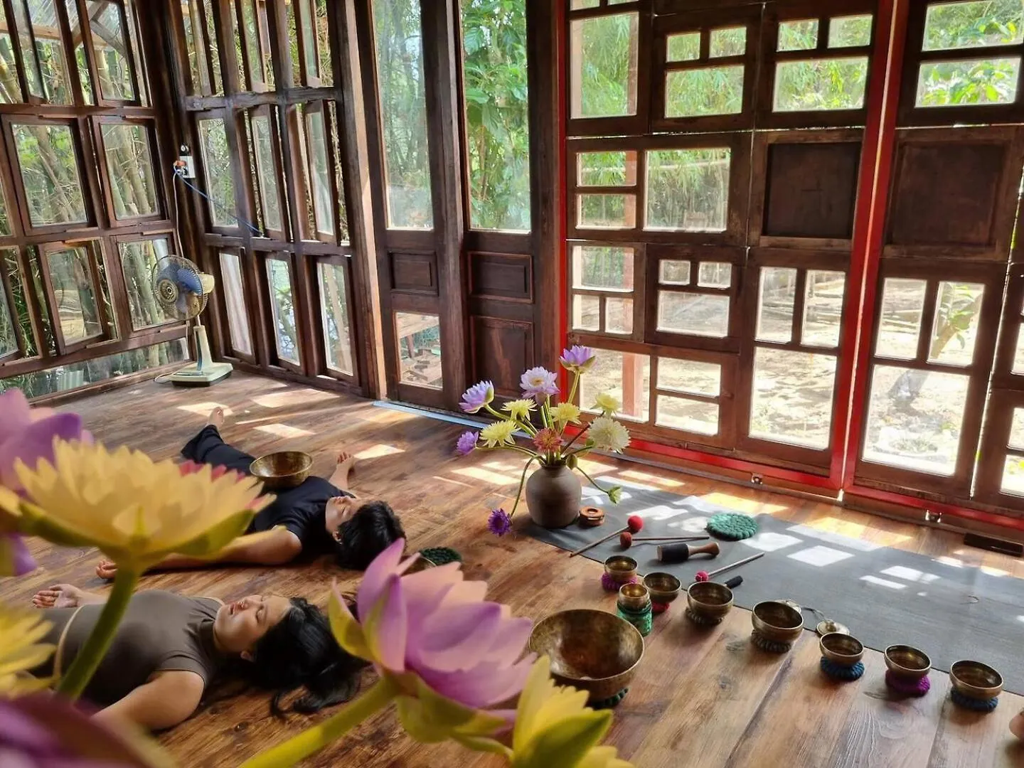 Alojamento de Turismo Selvagem Yen Homestay Hoi An