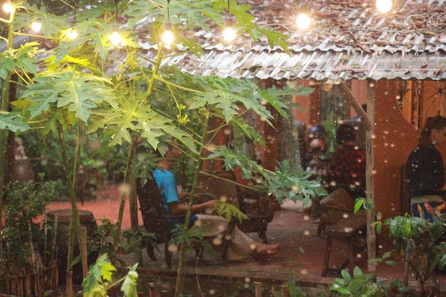 Alojamento de Turismo Selvagem Yen Homestay Hoi An Vietname